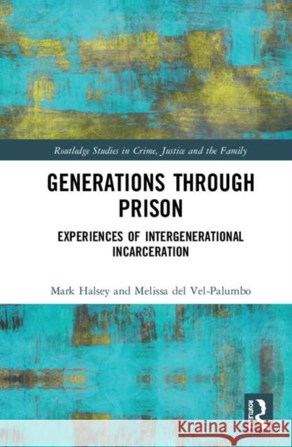 Generations Through Prison: Experiences of Intergenerational Incarceration Halsey, Mark 9780815375166