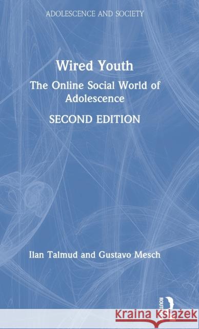 Wired Youth: The Online Social World of Adolescence Gustavo Mesch Ilan Talmud 9780815378839 Routledge