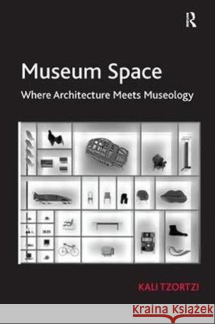 Museum Space: Where Architecture Meets Museology Tzortzi, Kali 9780815399360 