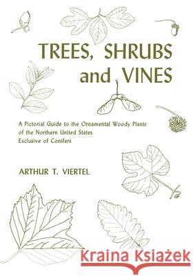 Trees, Shrubs, and Vines: A Pictorial Guide to the Ornamental Woody Plants of the Northeastern United States Exclusive of Conifers Viertel, Barbara 9780815600688 Syracuse University Press