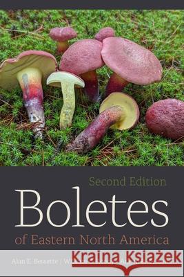 Boletes of Eastern North America Arleen R. Bessette 9780815611653 Syracuse University Press