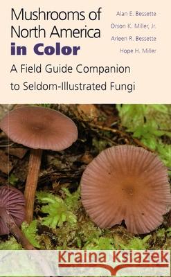 Mushrooms of North America in Color: A Field Guide Companion to Seldom-Illustrated Fungi Alan E. Bessette Arleen Raines Bessette Orson K. Miller 9780815626664 Syracuse University Press