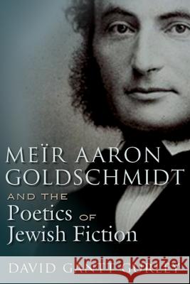 Meïr Aaron Goldschmidt and the Poetics of Jewish Fiction Gurley, David Gantt 9780815634867 Syracuse University Press