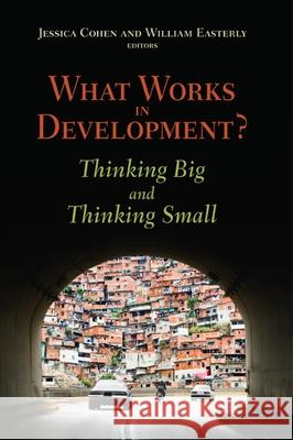 What Works in Development?: Thinking Big and Thinking Small Cohen, Jessica 9780815702825 Brookings Institution Press