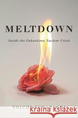 Meltdown: Inside the Fukushima Nuclear Crisis  9780815732594 Brookings Institution Press