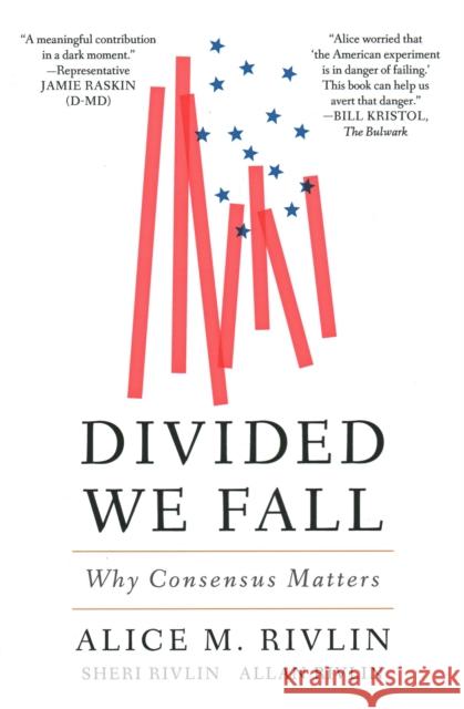 Divided We Fall: Why Consensus Matters  9780815735250 Brookings Institution Press