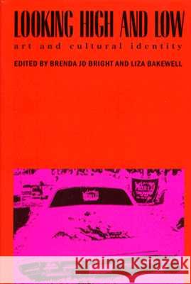 Looking High and Low: Art and Cultural Identity Brenda Jo Bright, Liza Bakewell 9780816513116