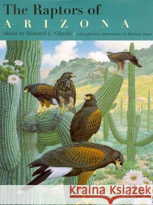 The Raptors of Arizona Richard L. Glinski Richard Sloan 9780816513222 University of Arizona Press