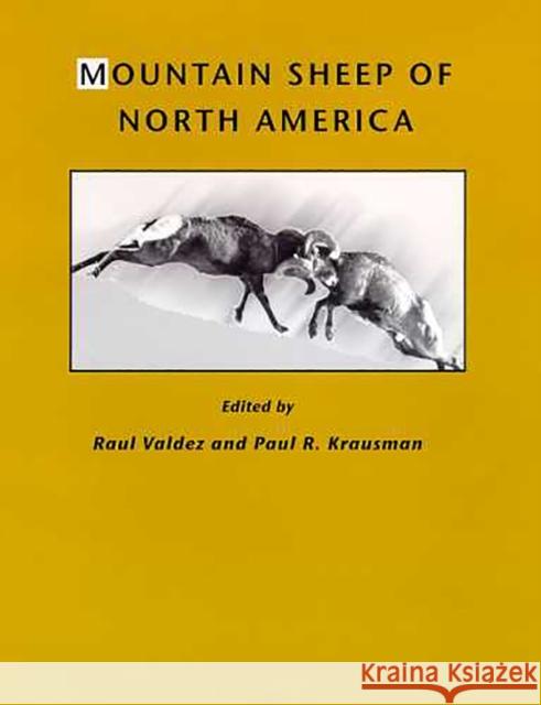 Mountain Sheep of North America Raul Valdez Paul R. Krausman 9780816518395 University of Arizona Press