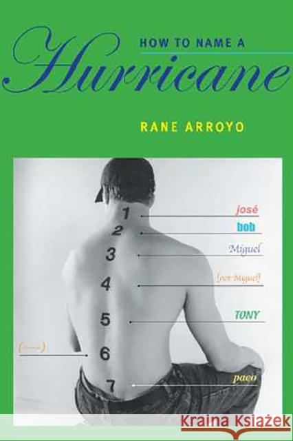 How to Name a Hurricane Rane Arroyo 9780816524600 University of Arizona Press