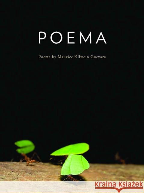 Poema Maurice Kilwei 9780816527250 University of Arizona Press