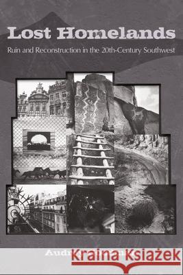 Lost Homelands : Ruin and Reconstruction in the 20th-Century Southwest Audrey Goodman 9780816528813 University of Arizona Press