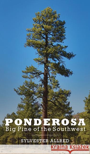 Ponderosa: Big Pine of the Southwest Sylvester Allred 9780816531431