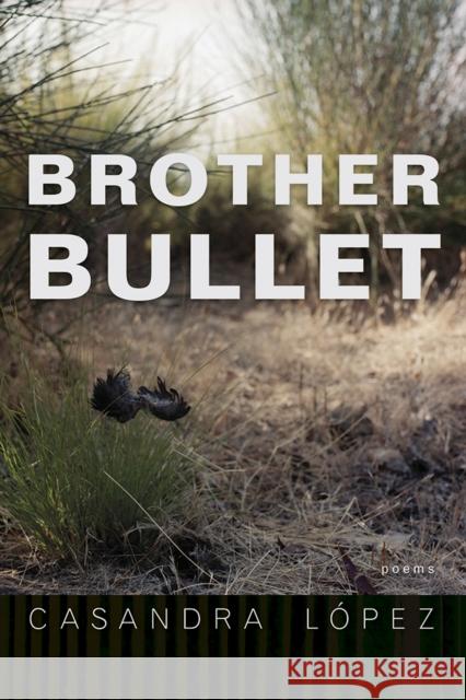 Brother Bullet: Poems Casandra Lopez 9780816538522 University of Arizona Press