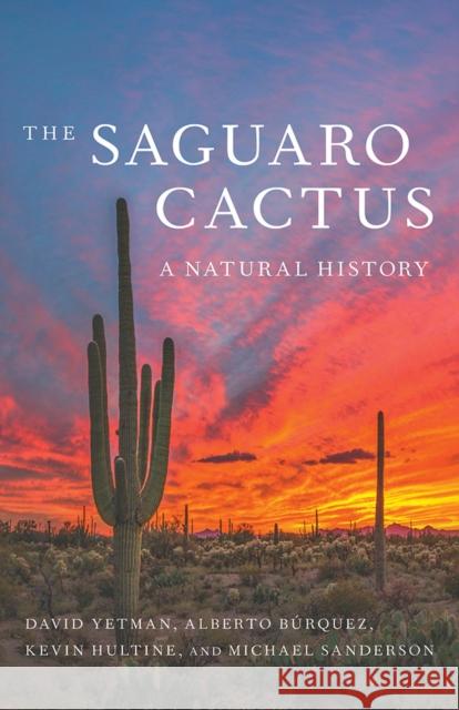 The Saguaro Cactus: A Natural History David Yetman Alberto Burquez Kevin Hultine 9780816540044 University of Arizona Press