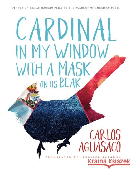 Cardinal in My Window with a Mask on Its Beak Carlos Aguasaco 9780816545155