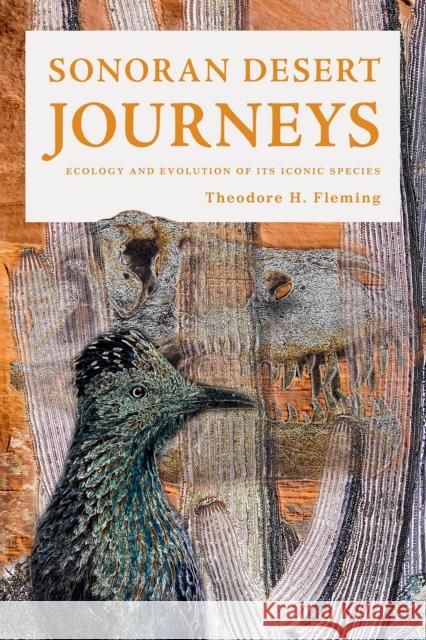 Sonoran Desert Journeys: Ecology and Evolution of Its Iconic Species Theodore H. Fleming 9780816547296 University of Arizona Press