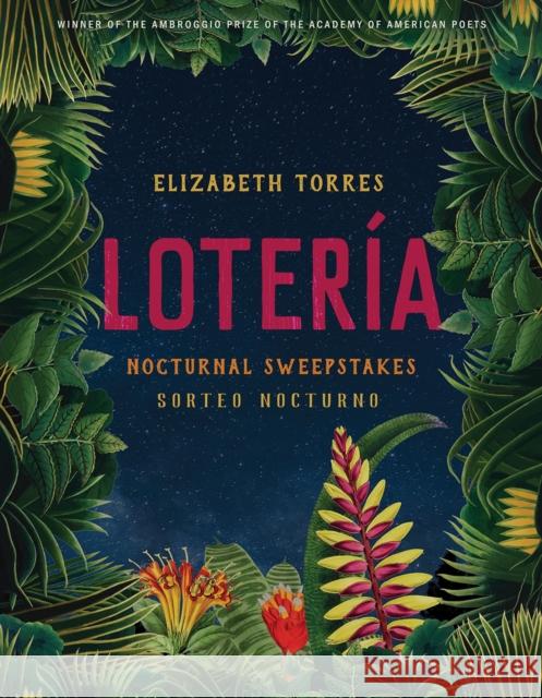 Lotería: Nocturnal Sweepstakes Torres, Elizabeth 9780816549603