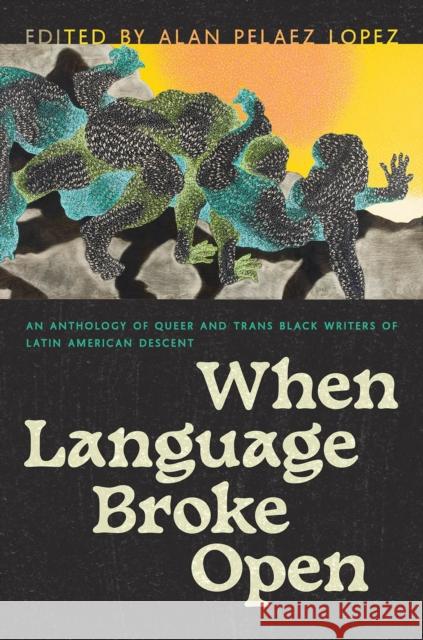 When Language Broke Open: An Anthology of Queer and Trans Black Writers of Latin American Descent Alan Pelae 9780816549962 University of Arizona Press