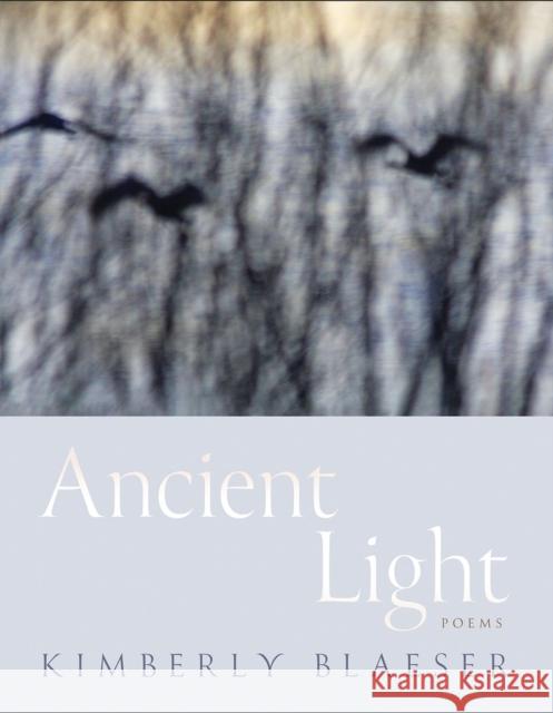 Ancient Light: Poems Kimberly Blaeser 9780816552177 University of Arizona Press