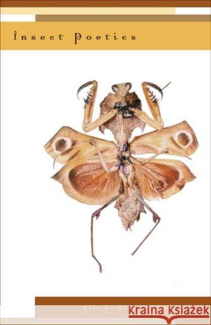 Insect Poetics Eric C. Brown 9780816646968 University of Minnesota Press