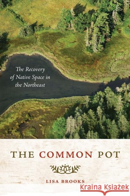 The Common Pot: The Recovery of Native Space in the Northeast Brooks, Lisa 9780816647842