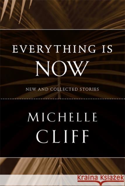Everything Is Now: New and Collected Stories Cliff, Michelle 9780816655939