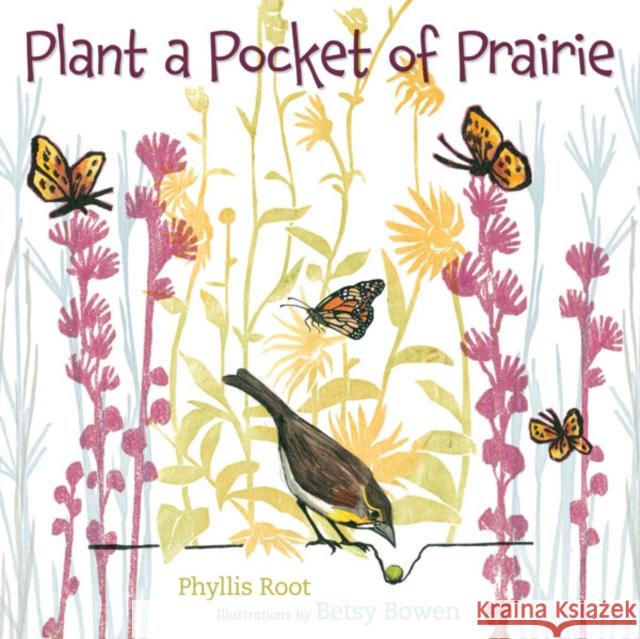 Plant a Pocket of Prairie Phyllis Root Betsy Bowen 9780816679805 University of Minnesota Press