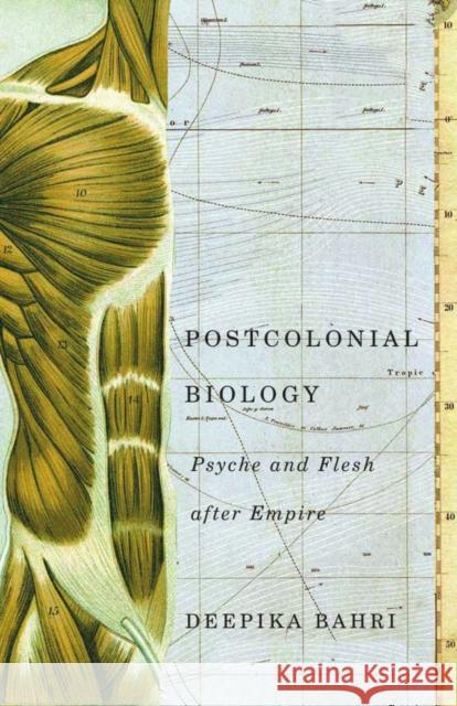 Postcolonial Biology: Psyche and Flesh After Empire Deepika Bahri 9780816698363 University of Minnesota Press