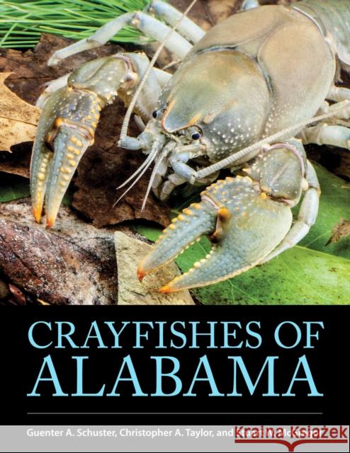 Crayfishes of Alabama Stuart W. McGregor 9780817321062 The University of Alabama Press
