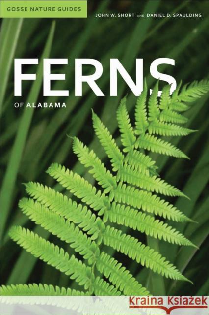 Ferns of Alabama John W. Short 9780817356477