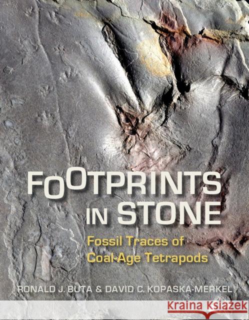 Footprints in Stone: Fossil Traces of Coal-Age Tetrapods Ronald James Buta David C. Kopaska-Merkel Dana J. Ehret 9780817358440 University Alabama Press