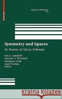 Symmetry and Spaces: In Honor of Gerry Schwarz Campbell, H. E. a. Eddy 9780817648749 Birkhauser Boston