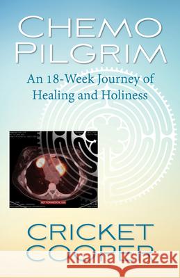 Chemo Pilgrim: An 18-Week Journey of Healing and Holiness Cricket Cooper 9780819233134