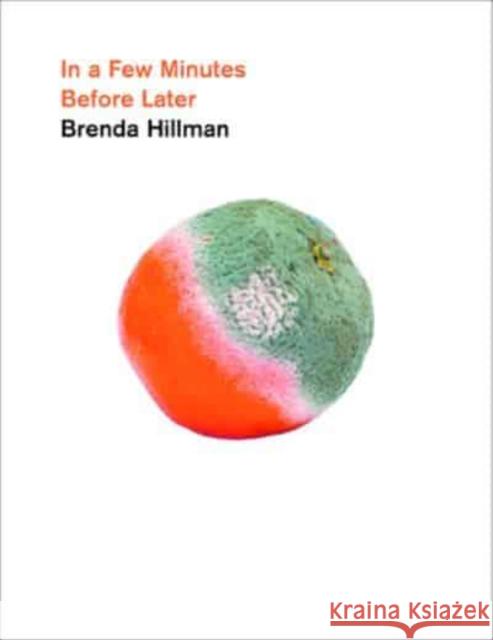 In a Few Minutes Before Later Brenda Hillman 9780819500151 Wesleyan University Press