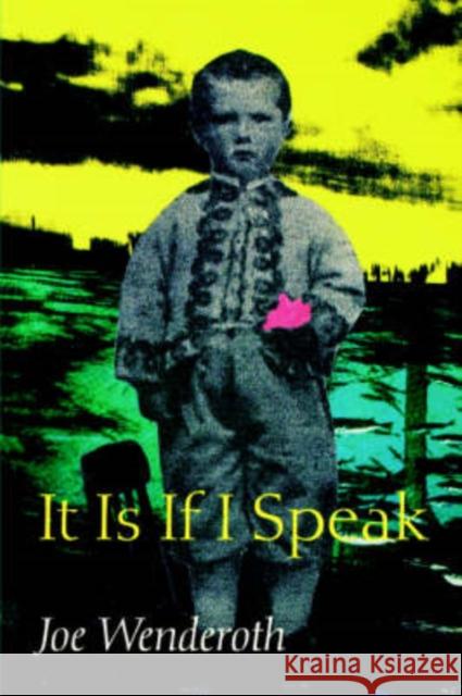 It Is If I Speak Joe Wenderoth 9780819563903 Wesleyan University Press