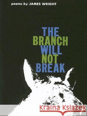 The Branch Will Not Break James Wright 9780819568410
