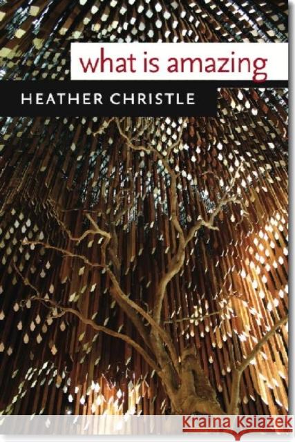 What Is Amazing Heather Christle 9780819573698 Wesleyan