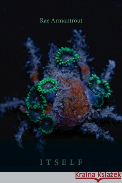 Itself Rae Armantrout 9780819574671