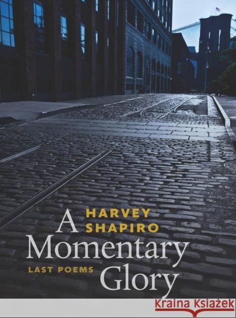 A Momentary Glory: Last Poems Harvey Shapiro Norman Finkelstein 9780819574893