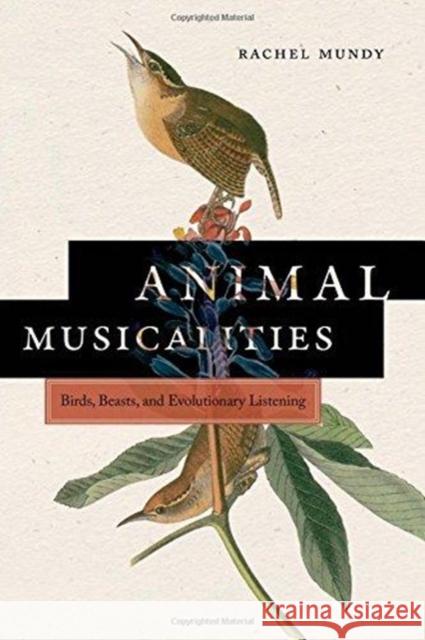Animal Musicalities: Birds, Beasts, and Evolutionary Listening Mundy 9780819578068