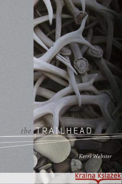 The Trailhead Kerri Webster 9780819579836 Wesleyan University Press