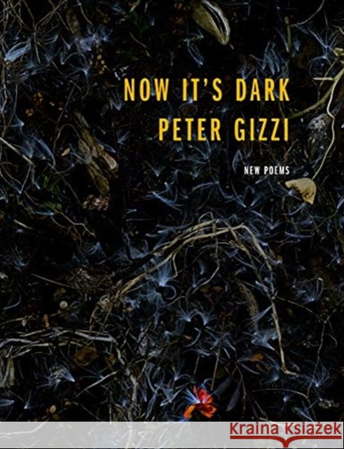 Now It's Dark Peter Gizzi 9780819579867