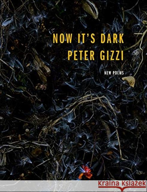 Now It's Dark Peter Gizzi 9780819579867 Wesleyan University Press