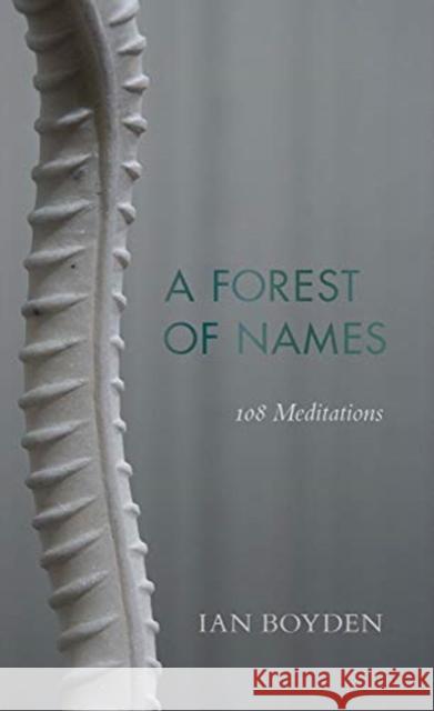 Forest of Names: 108 Meditations Ian Boyden 9780819579942 Wesleyan University Press