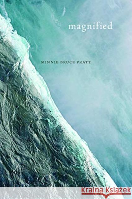 Magnified Minnie Bruce Pratt 9780819580054 Wesleyan University Press