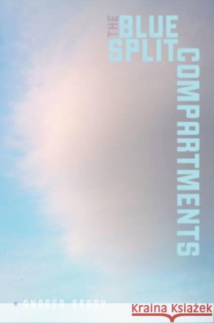 The Blue Split Compartments Andrea Brady 9780819580436 Wesleyan University Press