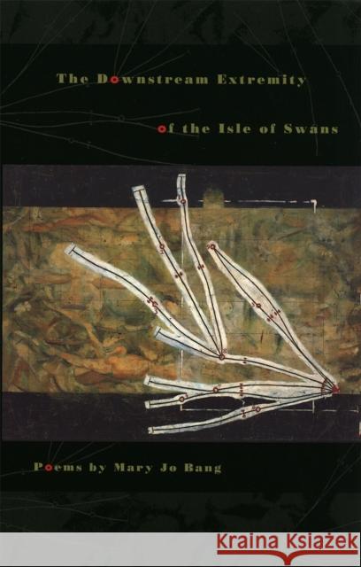 The Downstream Extremity of the Isle of Swans: Poems Bang, Mary Jo 9780820322926