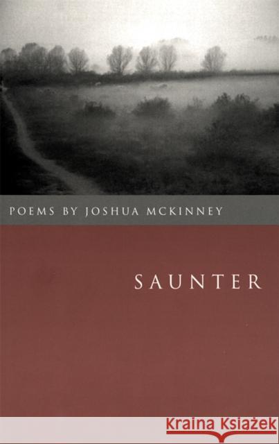 Saunter: Poems McKinney, Joshua 9780820323312 University of Georgia Press