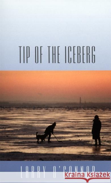 Tip of the Iceberg Larry O'Connor 9780820323565 University of Georgia Press